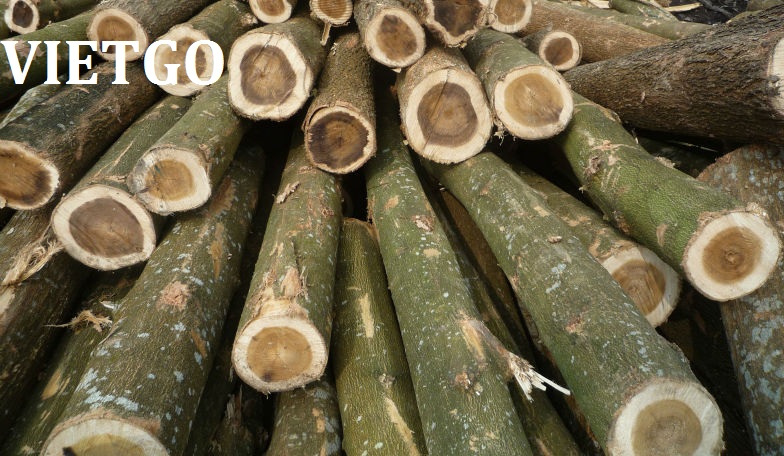 gỗ keo xuất khẩu